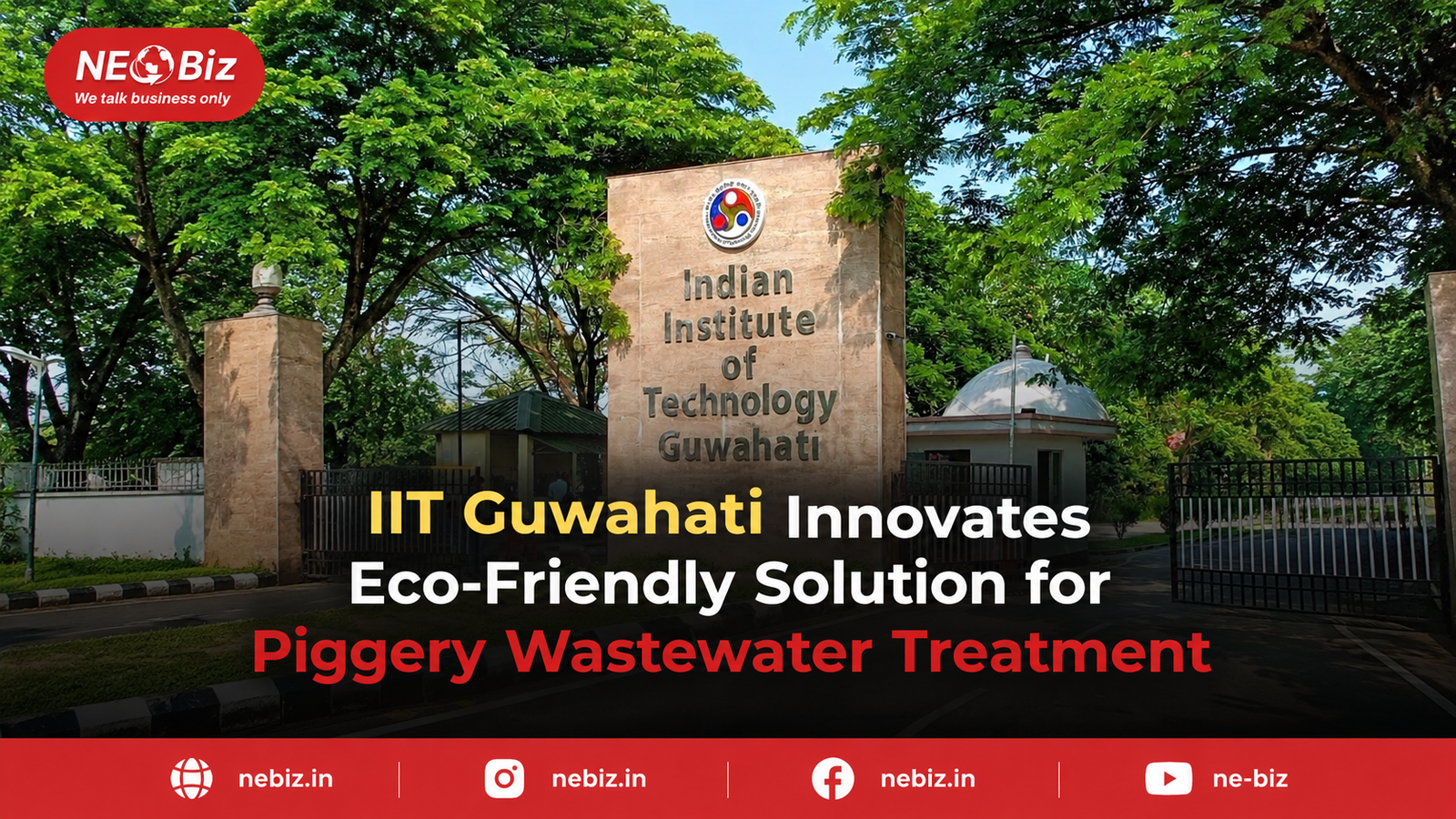 IIT Guwahati Innovates  Eco-Friendly Solution for Piggery  Wastewater Treatment